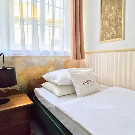 Cieszynski Boutique & Stare Cieszyn 4*